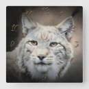 Buscar imagen del gato relojes de pared Gatos