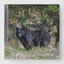 Buscar oso relojes de pared Para todos