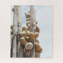 Buscar del caracol puzzles Para todos