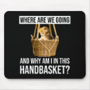 Buscar meme del gato alfombrillas de raton Lindo