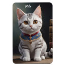 Buscar gatos imanes Para mascotas