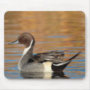 Buscar drake alfombrillas de raton Naturaleza