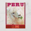 Buscar llama postales Perú