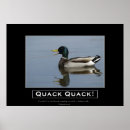 Buscar pato salvaje posters Mallard