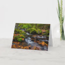 Buscar haney tarjetas Bosque