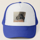 Buscar maine gorras Gatos