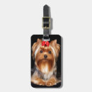 Buscar yorkshire etiquetas para maletas Terrier de yorkshire