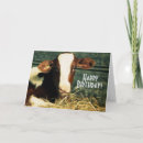 Buscar becerros tarjetas Vaca