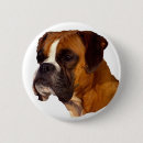 Buscar boxeador chapas Perro