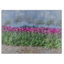 Buscar holanda tablas cortar Tulipanes