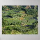 Buscar yunnan posters Ie