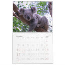 Buscar koala calendarios Lindo