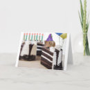 Buscar ratties Animales