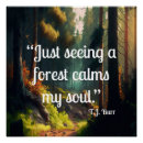 Buscar árboles forestales posters Paisaje