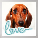 Buscar el hogar posters Para todos