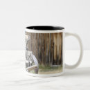 Buscar minero tazas Mina