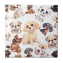 Buscar caniche azulejos Cachorro