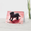 Buscar alfombra roja tarjetas Negro
