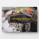 Buscar colibríes placas fotograbadas Pájaro