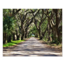 Buscar toldos posters Naturaleza