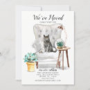 Buscar gato gris invitaciones Cambio de dirección