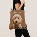 Buscar foto del perro fotografía Crea tu propio