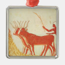 Buscar trigo adornos Grano