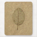 Buscar fósil alfombrillas de raton Marrón