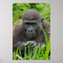 Buscar ocultar posters Ocultar y buscar