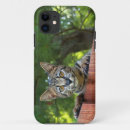 Buscar 猫 9 º gata