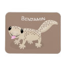 Buscar geckos imanes Divertido