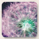 Buscar semilla posavasos Moderno