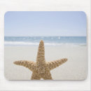 Buscar cape Verano