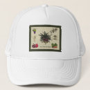 Buscar especie gorras Para todos