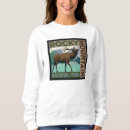 Buscar montañas rocosas sudaderas Colorado