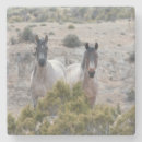 Buscar madre posavasos General y unisex