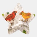 Buscar pájaros rojos postales Para ellos