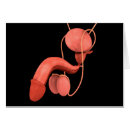 Buscar sexual postales Horizontal