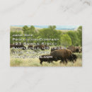 Buscar wyoming fotografía Avispamiento