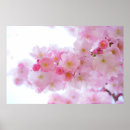 Buscar flor de cerezo posters General y unisex