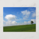 Buscar solitario postales Árbol