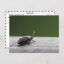 Buscar con errores postales Para todos