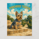 Buscar yorkshire postales Terrier de yorkshire