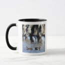 Buscar namibia tazas Fauna