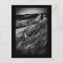 Buscar conejo negro postales General y unisex