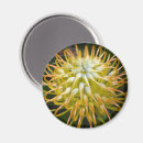 Buscar cojines imanes Flor
