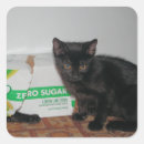 Buscar cuadro 9 pegatinas 9 º gata