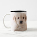 Buscar características tazas Lindo