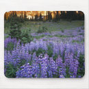 Buscar adams alfombrillas de raton Flor