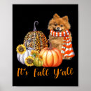 Buscar pomerania posters Pomerano